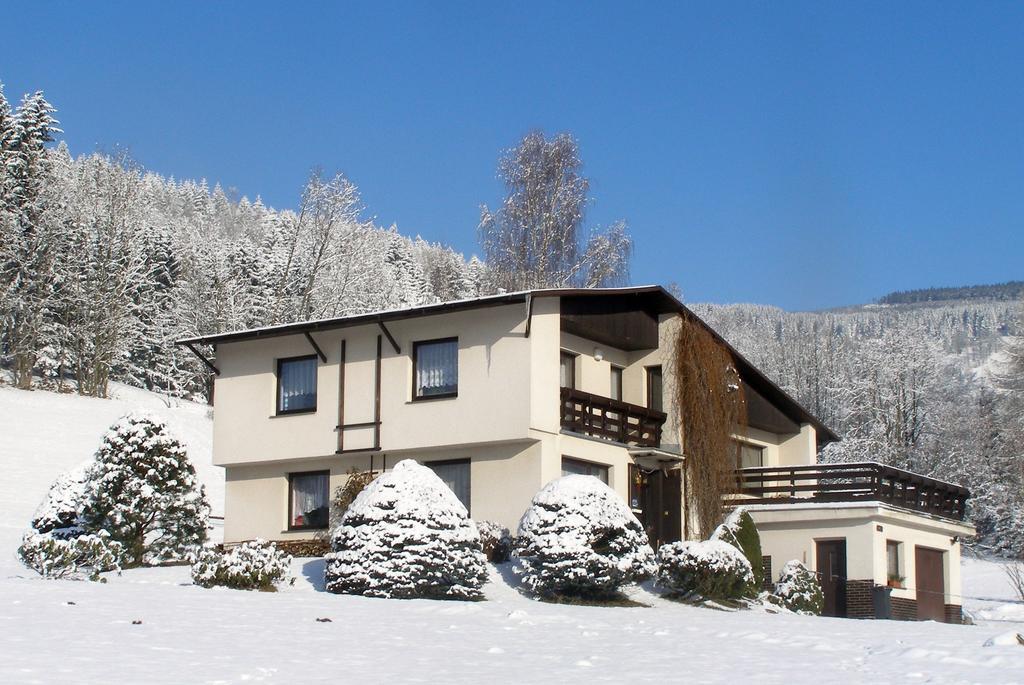 Apartman Braun Рокицани Номер фото
